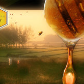 Overberg Honey Co